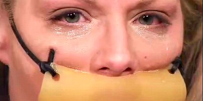 Insex - 2001.12.19 - 1016s December 2000 Live Feed What A Dog 1016 101 Xtc