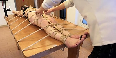 半岛束艺 鹿野人体盛TK