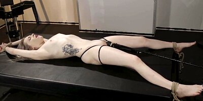 Fragile Slave 40