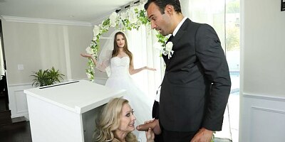 Spicy models Jillian Janson and Nina Hartley are getting penetrated