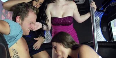 Cfnm hotties suck before fucking in limo