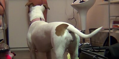 Three Sexy Pornstars Play with each Other's Pussies