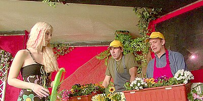 Bimaxx 22 Scene 3