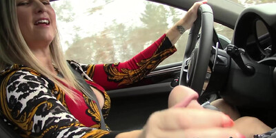 Housewifekelly - Carhandy