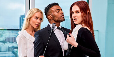 Mistress Maitland 2: Delegate