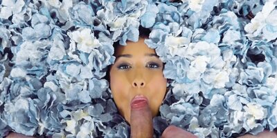 Cutie Darcia Lee with natural tits rides a cock