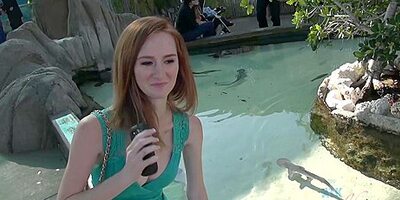 Amazing Adult Scene Big Tits Hottest Like In Your Dreams With Dee Dee