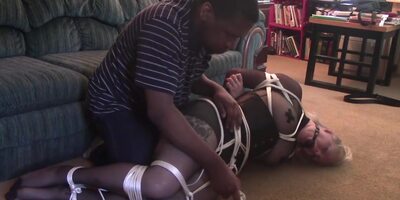Bound And Vibed