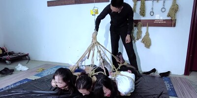 Yingshu Bondage Dunhil With Sakura A