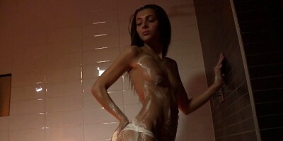 TLE - perfect body trailer