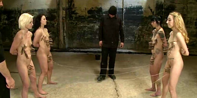 Day 2 Februarys Final 2 Slaves