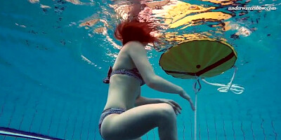 Watch ideal Liza's trailer