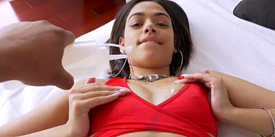 Exotic 4K: Harmony Wonder teasing