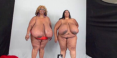 Norma N Cotton