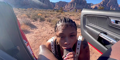 Porche Carrera - Sucking Dick On The Side Of The Road