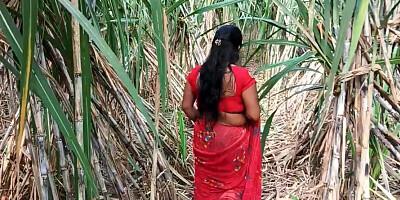 My step mom in sugarcane farming