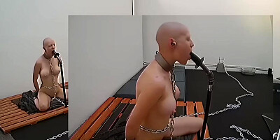 Livecam 01-23-2018 Ritual