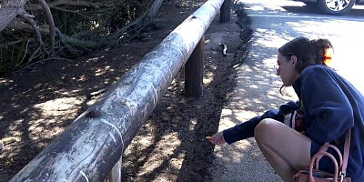 Vacationing hottie playing with her clit during HARD sex