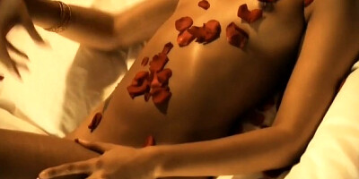 Well-made India at exotic action