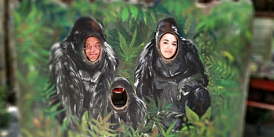 Matt's big ass latina scene