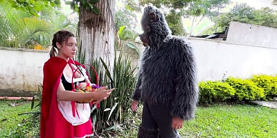 Little Red Riding Hood lost a fruit from her basket and is looking for it in the wolf's pants.