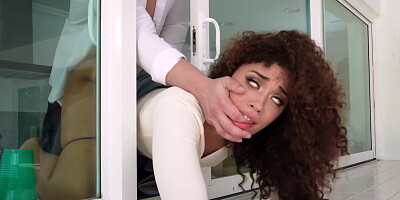 Gets Stuck In The Window And Fucked With Willow Ryder