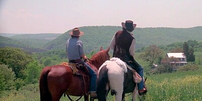 The Pussycat Ranch